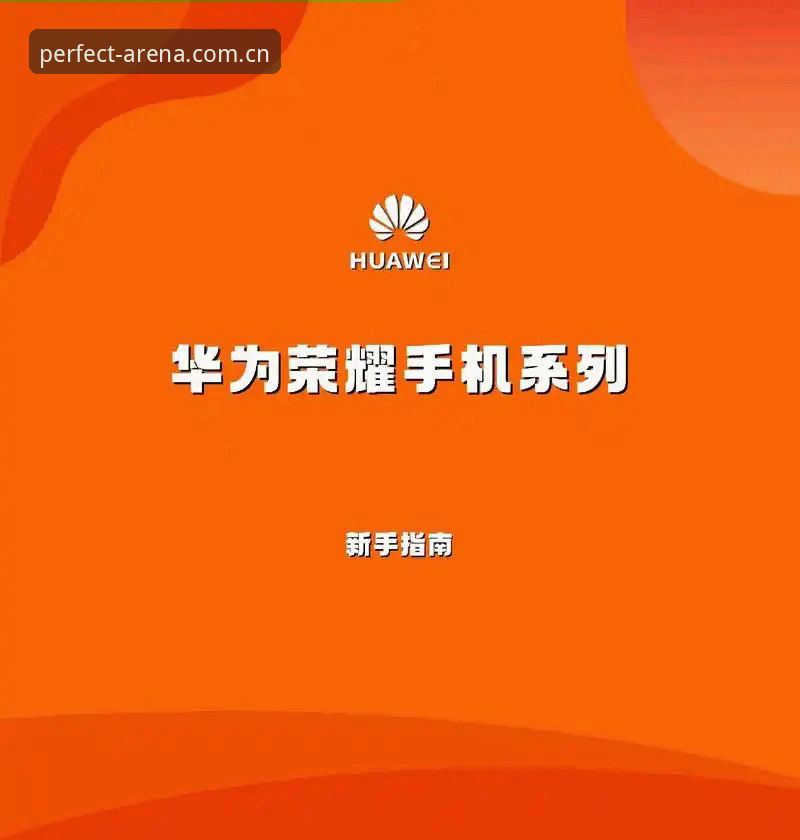 新手必看：完美体育网址使用心得与入口指南